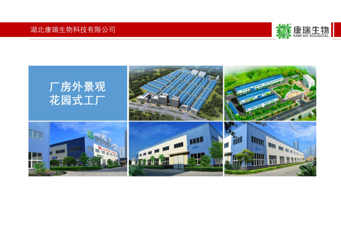 膏滋代加工_无配方一站式解决方案【湖北研发厂家】第3张